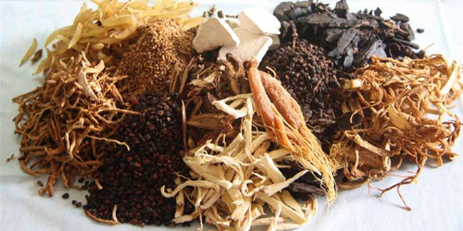 Cách sử dụng dược liệu an toàn, hiệu quả, khoa học